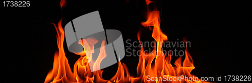 Image of Close-up of fire and flames on a black background