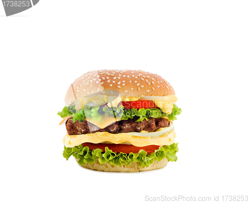 Image of cheeseburger on white