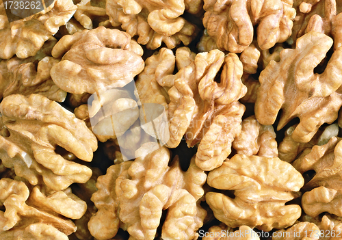 Image of macro view of walnuts