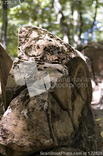 Image of Stones in a wood