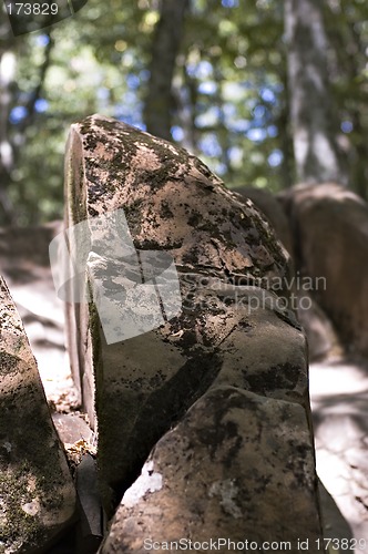 Image of Stones in a wood