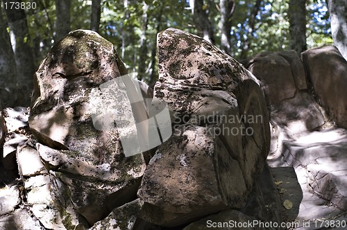 Image of Stones in a wood