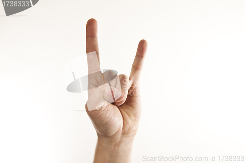 Image of A man's hand giving the Rock and Roll sign.