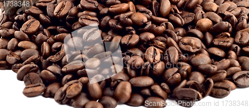 Image of coffee bean isolated
