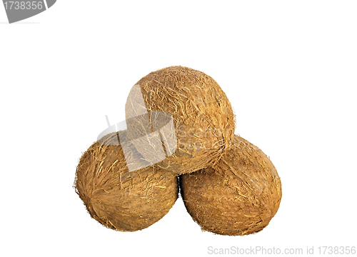 Image of coconuts isolated on white