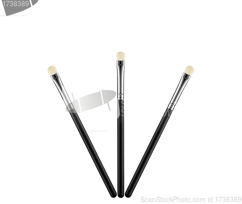 Image of Professional make-up brushes