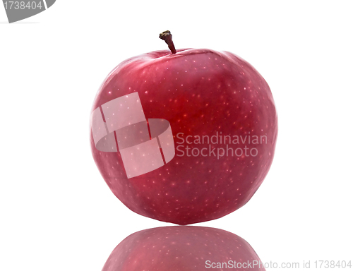 Image of Dark-red apple. Isolated on white background