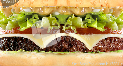 Image of Cheeseburger hamburger macro close-up