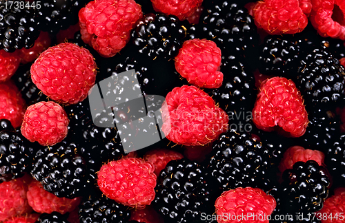 Image of raspberry and blackberry close up