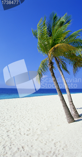 Image of Landscape photo of tranquil island beach