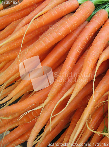 Image of raw carrots