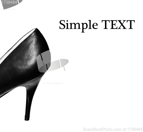 Image of black female shoe on a white background