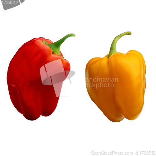 Image of sweet pepper isolated