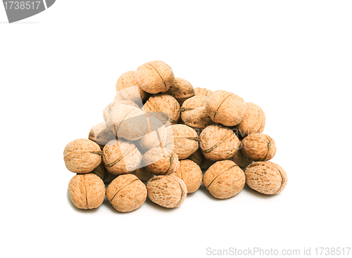 Image of Walnuts isolated on white background