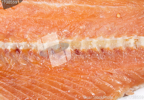 Image of Red fish background