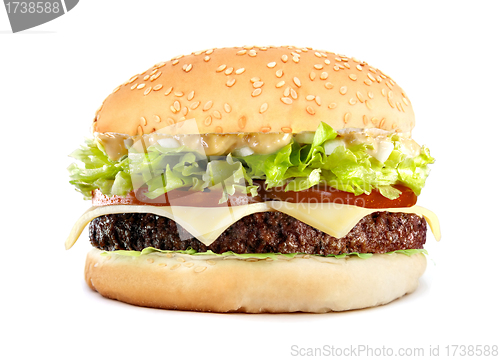 Image of big tasty cheeseburger