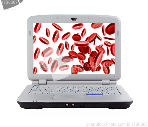 Image of blood cells in laptop