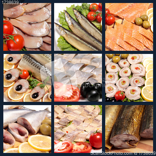 Image of fish collage
