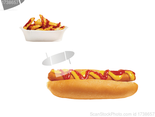 Image of hot dog with fries