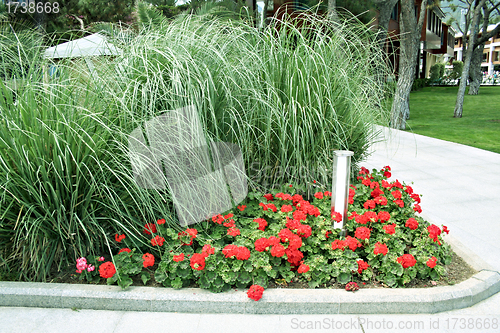 Image of Formal garden with blooming flowers in the summer