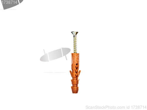 Image of metal screw on a white background