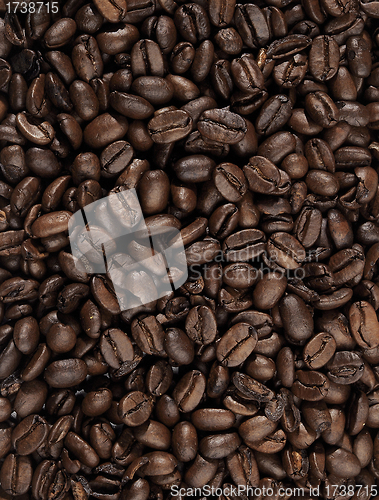 Image of Background from coffee beans