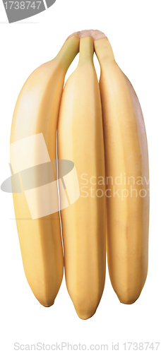 Image of Three bananas, isolated on a white