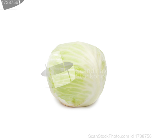 Image of Photo of fresh cabbage