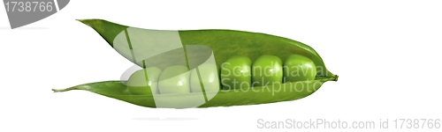 Image of fresh green peas isolated on a white background
