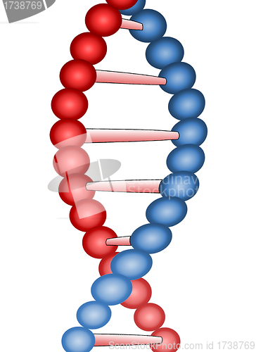 Image of Molecule of DNA, genetic information isolated