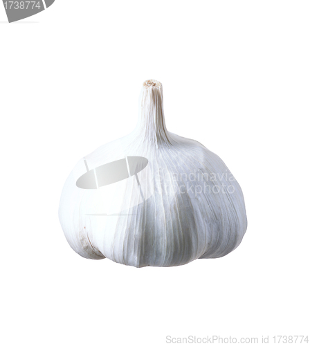 Image of Garlic isolated on white background.