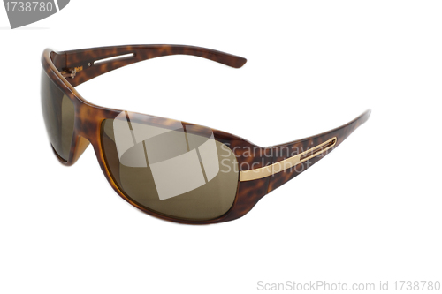 Image of Stylish sunglasses isolated
