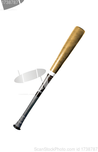 Image of Baseball Bat