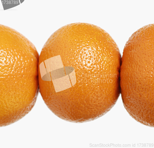 Image of Oranges