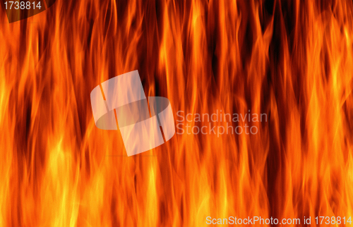 Image of Close-up of fire and flames on a black background