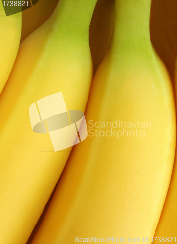 Image of Macro view of a bunch of bananas