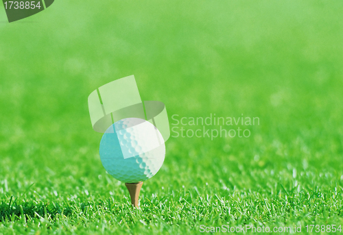 Image of Golf ball on tee over a blurred green.