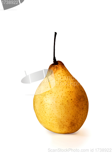 Image of Ripe pear isolated