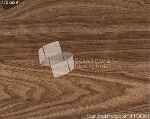 Image of the brown wood texture