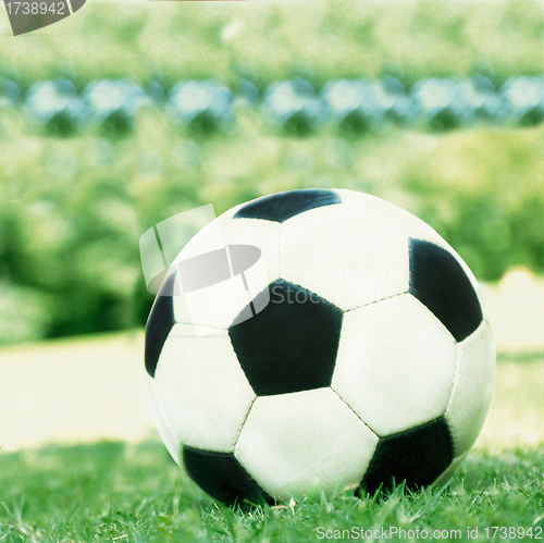 Image of Football ball on the grass