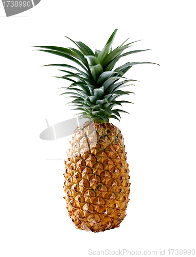 Image of ripe pineapple isolated on white background