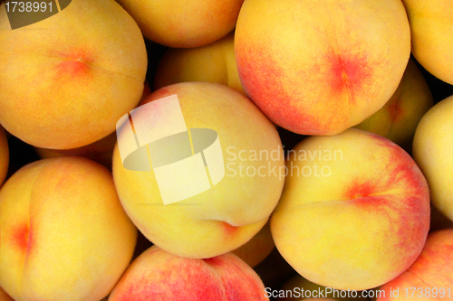 Image of Fresh natural apricot background
