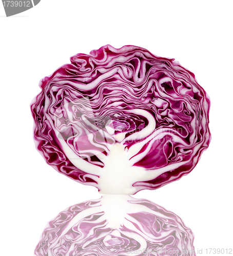 Image of purple cabbage