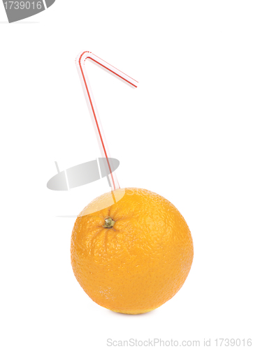 Image of fresh squeezed orange juice isolated