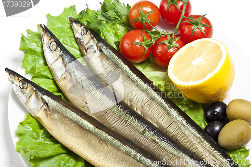 Image of Smoked sprat-appetizing snack on white