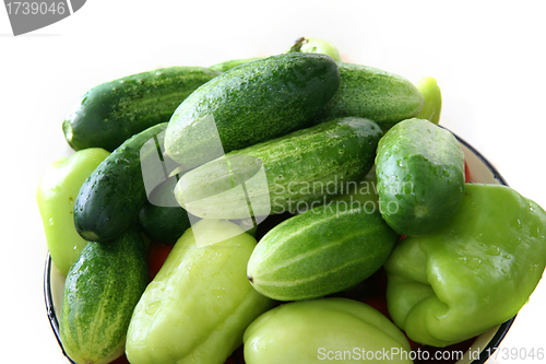 Image of A fresh green cucumber close-up