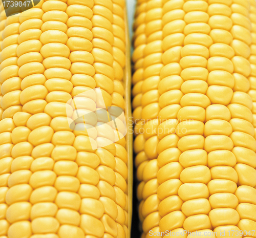 Image of Background corn