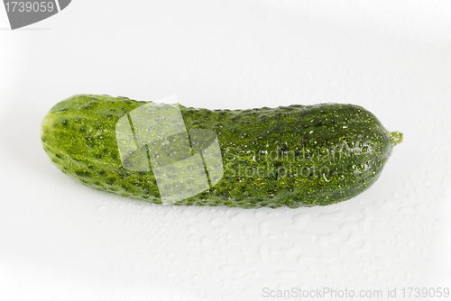 Image of cucumber isolated on white