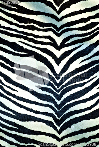 Image of Details of zebra as a fur background