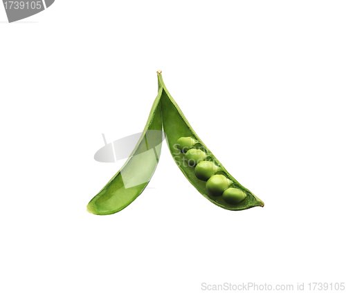 Image of peas isolated on white